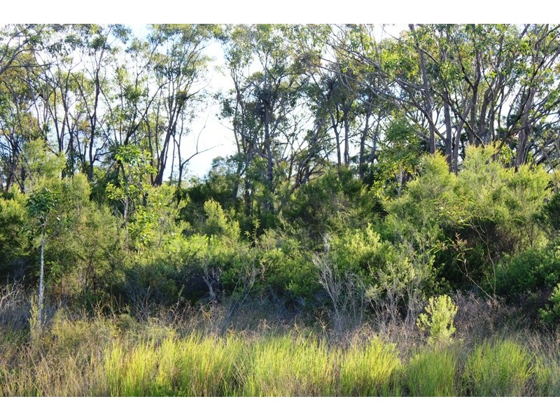 13 Dorron Court, Moore Park Beach QLD 4670