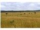 Taunton QLD 4674