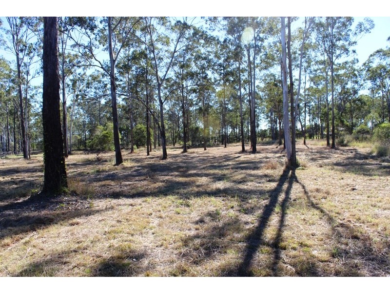 46 Bellbird Drive, Bucca QLD 4670