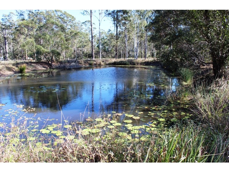 46 Bellbird Drive, Bucca QLD 4670