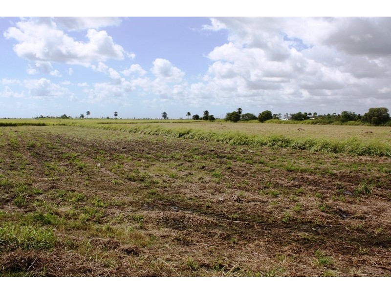 Lot 5 Moore Park Road, Welcome Creek QLD 4670