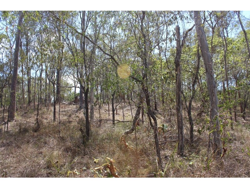 Lot 63 Tanderra Drive, South Kolan QLD 4670