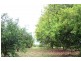 132 Hairs Road, Bungadoo QLD 4671