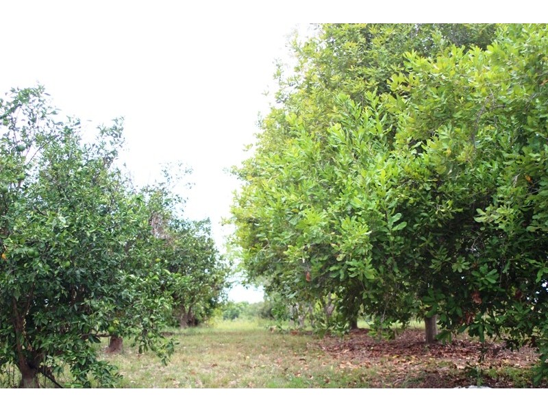 132 Hairs Road, Bungadoo QLD 4671