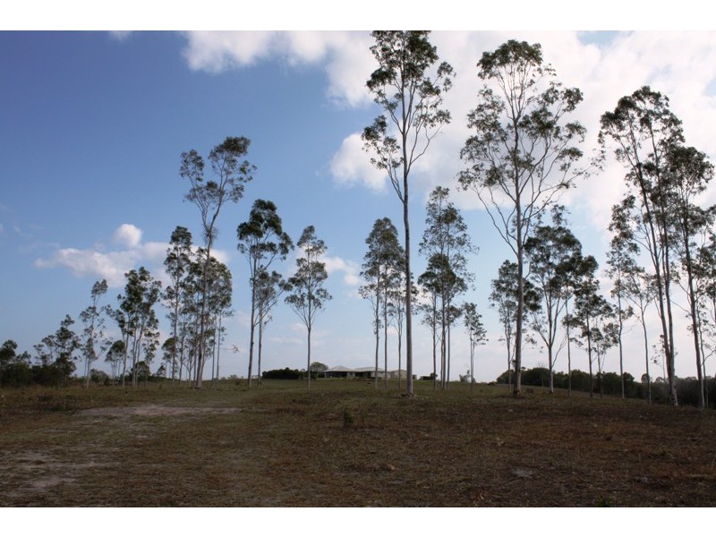 976 Pine Creek Road, Electra QLD 4670