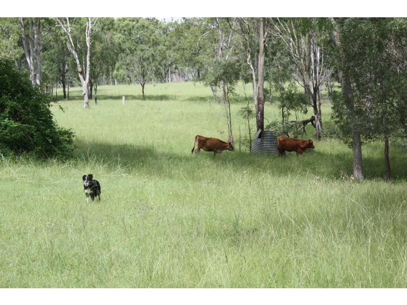 1312 Bucca Road, Bucca QLD 4670