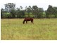 1312 Bucca Road, Bucca QLD 4670