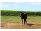 325 South Bucca Road, Bucca QLD 4670