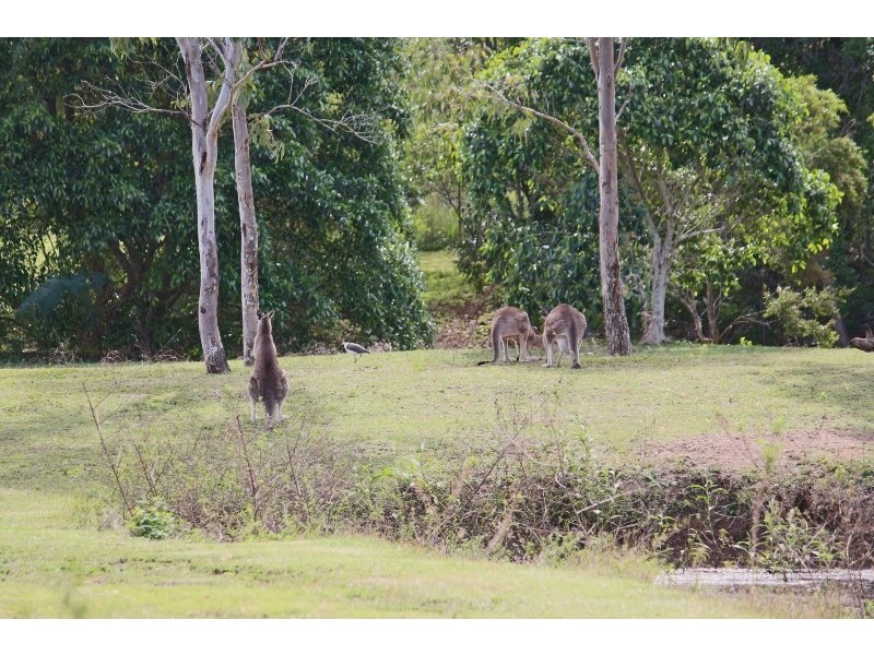 Lot 123 Kookaburra Park, Gin Gin QLD 4671