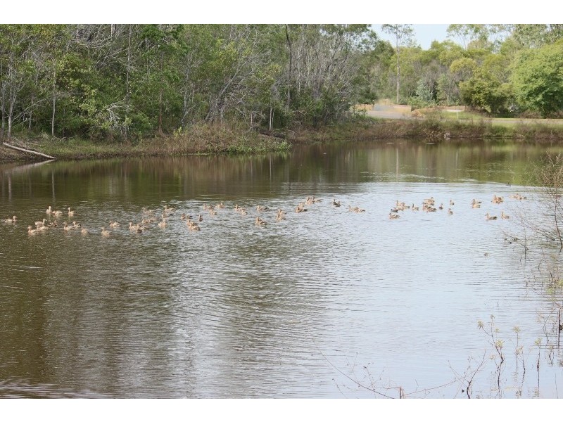 Lot 123 Kookaburra Park, Gin Gin QLD 4671