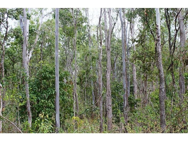 0 Callaghans Road, Berajondo QLD 4674