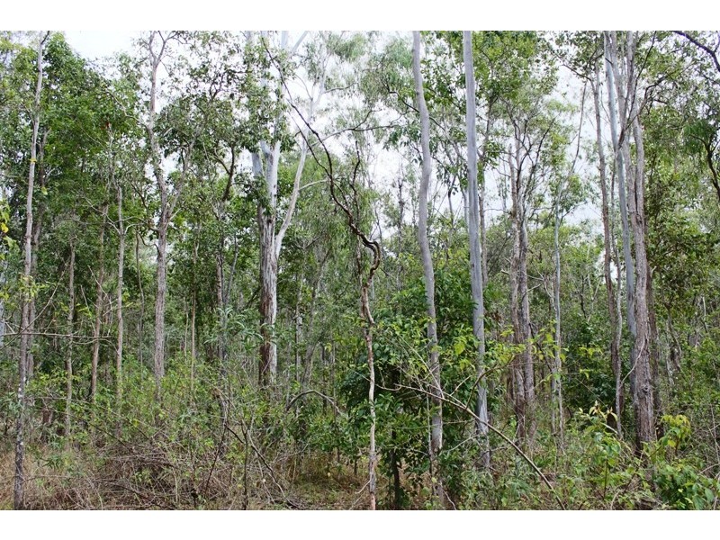 0 Callaghans Road, Berajondo QLD 4674