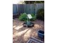 53 Montgomery Street, Svensson Heights QLD 4670