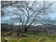 215 Woongarra Scenic Drive, Bargara QLD 4670