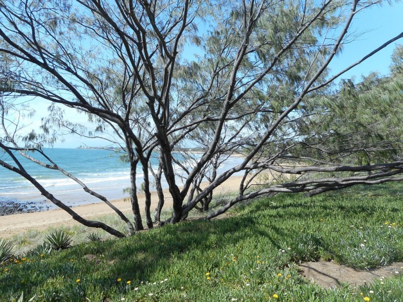 Unit 4,82 Miller Street, Bargara QLD 4670