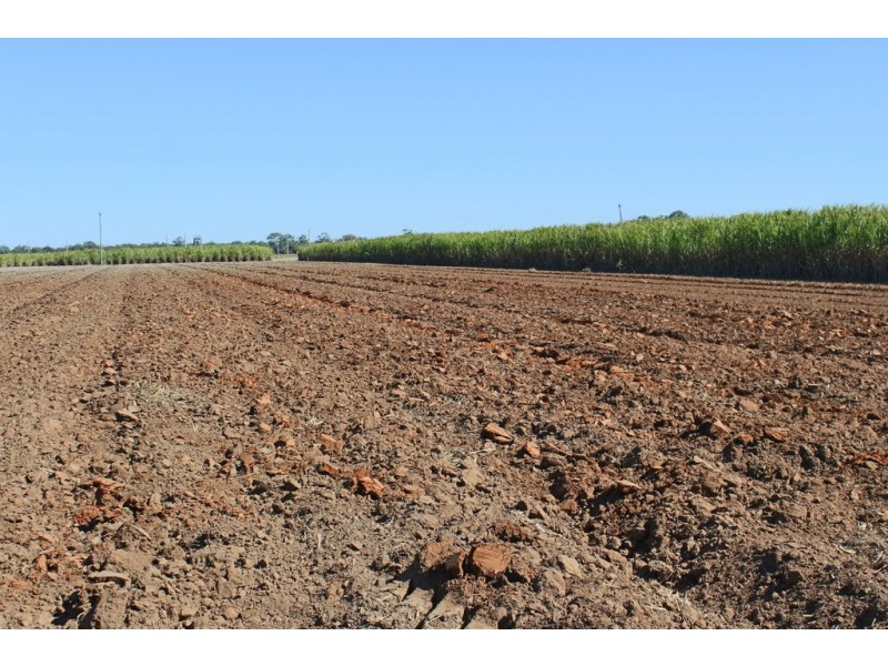 216 Hoods Road, Meadowvale QLD 4670