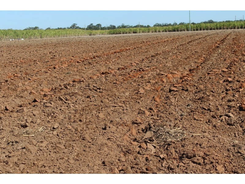 216 Hoods Road, Meadowvale QLD 4670