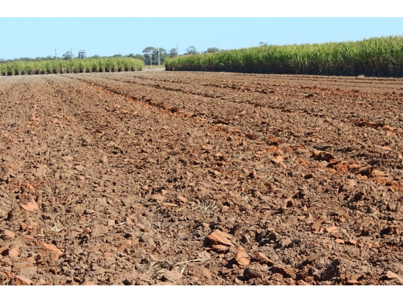 216 Hoods Road, Meadowvale QLD 4670