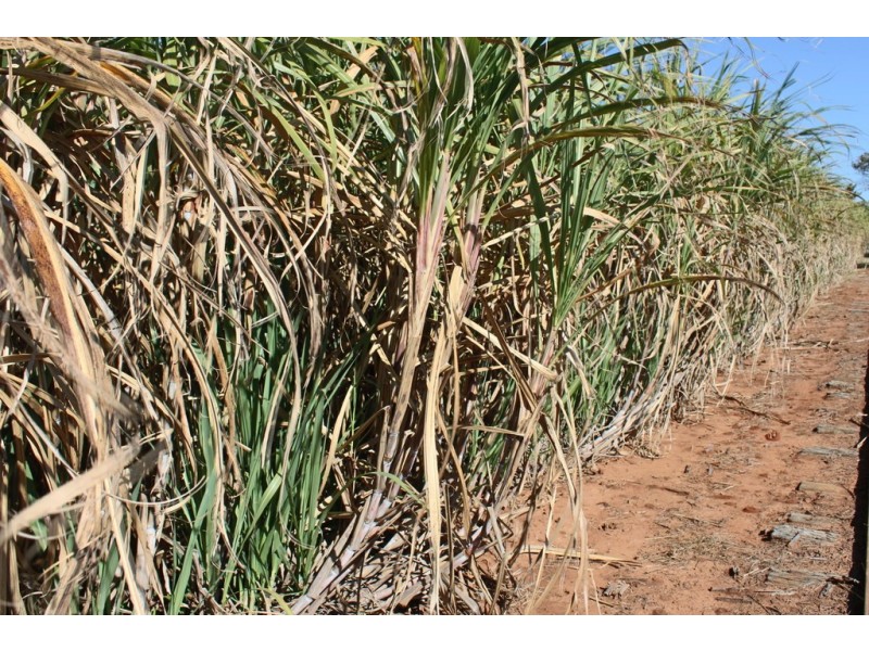 216 Hoods Road, Meadowvale QLD 4670