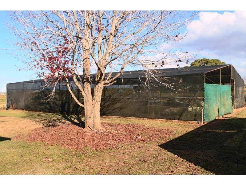 10 Careys Road, Meadowvale QLD 4670
