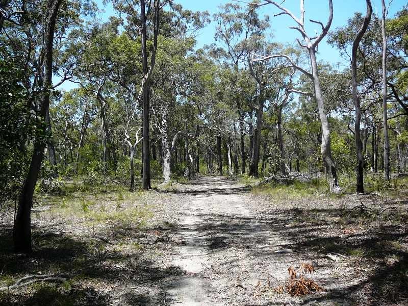 49 COAST ROAD, Baffle Creek QLD 4674