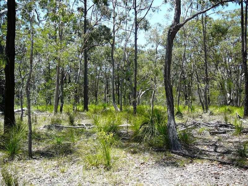 49 COAST ROAD, Baffle Creek QLD 4674