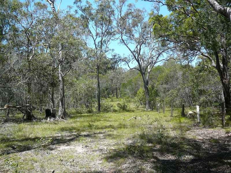 49 COAST ROAD, Baffle Creek QLD 4674