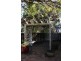 102 Boundary Street, Walkervale QLD 4670