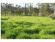 LOT 93 Ten Mile Road, South Kolan QLD 4670