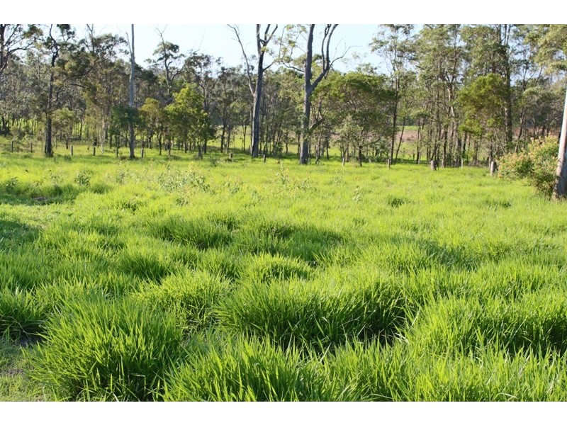 LOT 93 Ten Mile Road, South Kolan QLD 4670