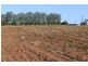 LOT 93 Ten Mile Road, South Kolan QLD 4670