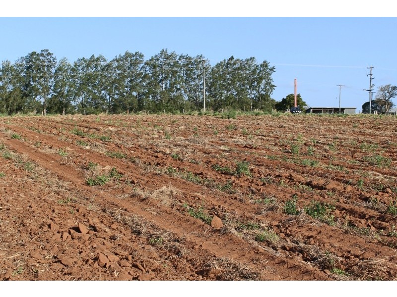 LOT 93 Ten Mile Road, South Kolan QLD 4670