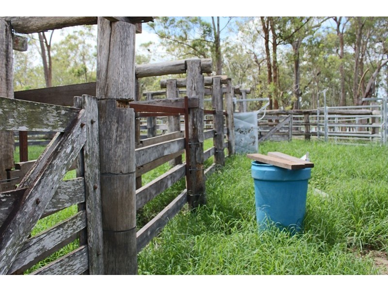 564 Waterloo-Watalgan Road, Waterloo QLD 4673