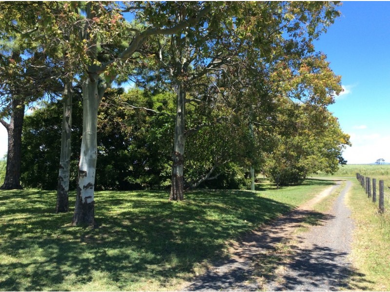 96 Gahans Road, Fairymead QLD 4670