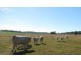 Toowoomba QLD 4350
