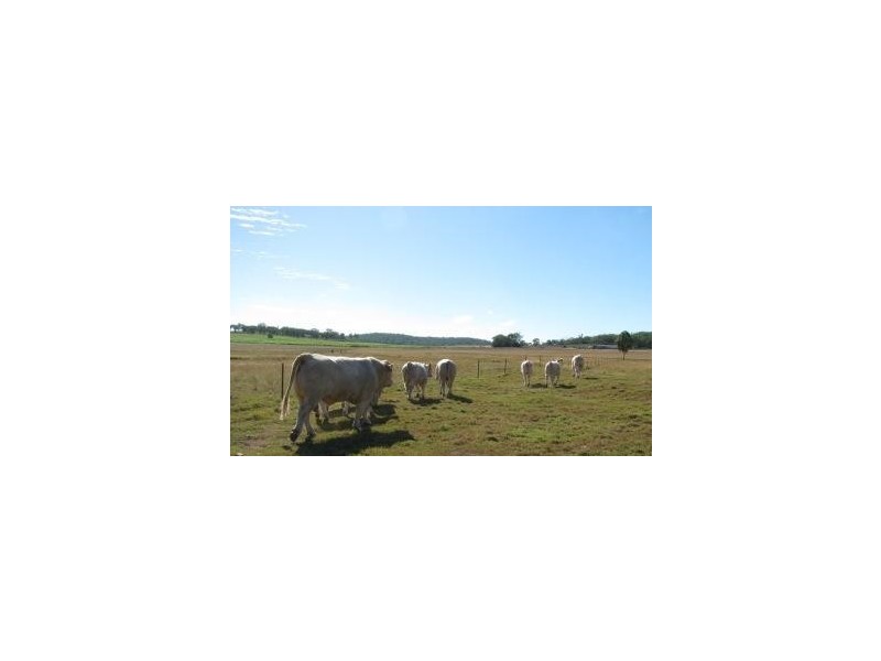 Toowoomba QLD 4350