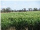 Toowoomba QLD 4350