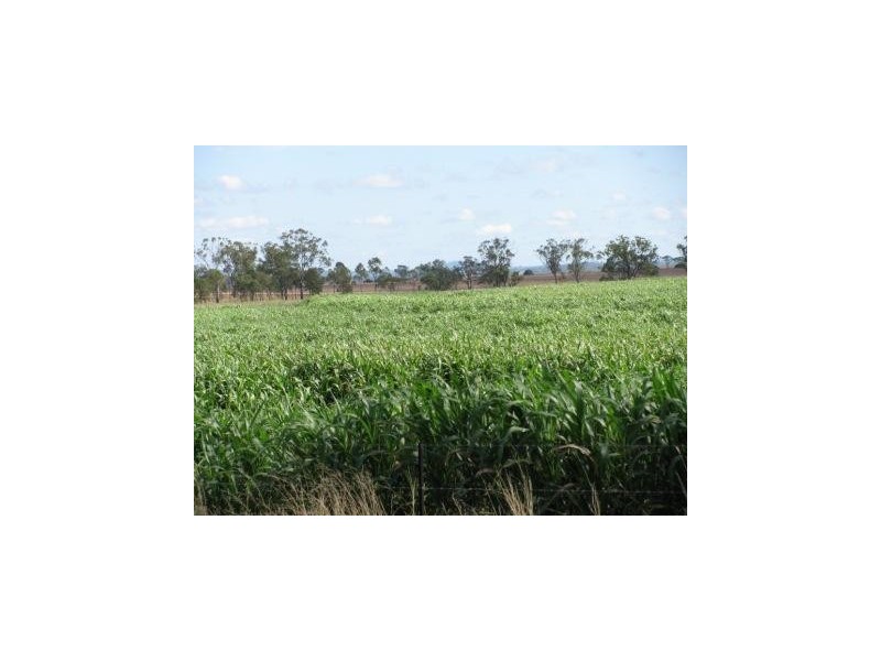 Toowoomba QLD 4350