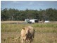 Toowoomba QLD 4350