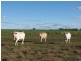 Dalby QLD 4405