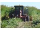 Dalby QLD 4405