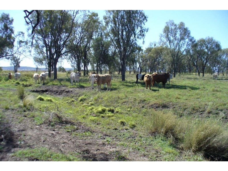 Dalby QLD 4405