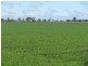 Dalby QLD 4405