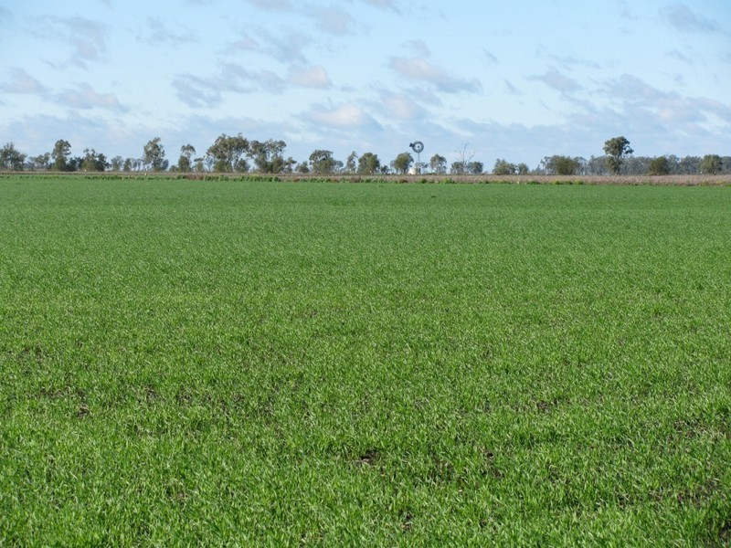 Dalby QLD 4405