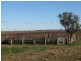 Dalby QLD 4405