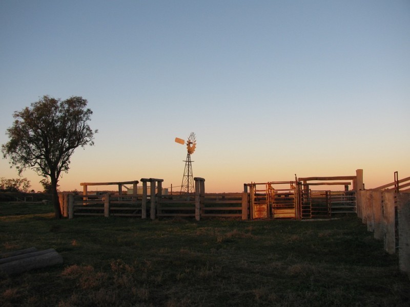 Dalby QLD 4405
