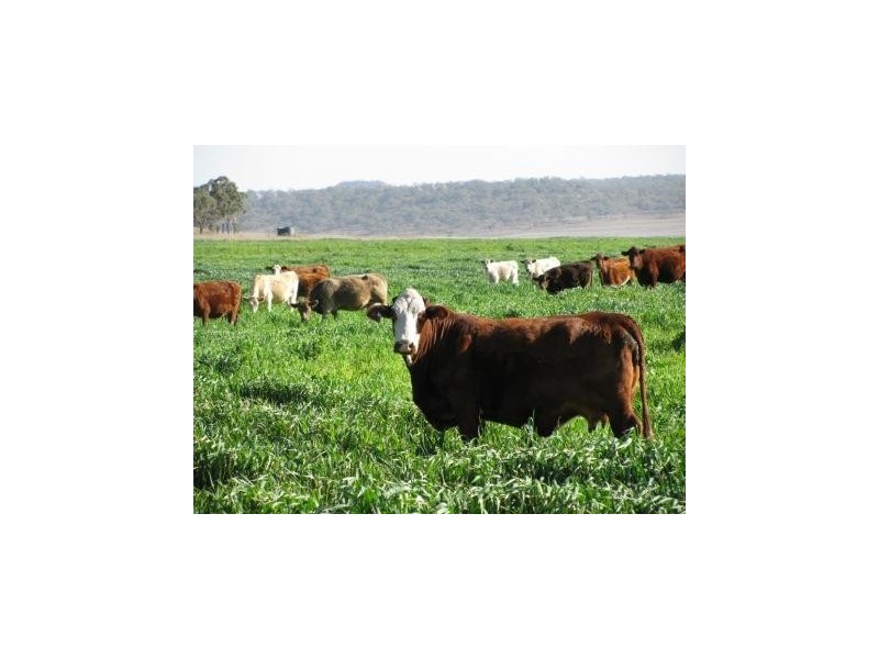 Felton QLD 4358