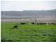 Felton QLD 4358