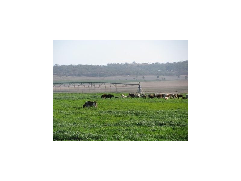 Felton QLD 4358
