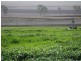 Felton QLD 4358